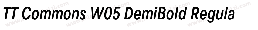 TT Commons W05 DemiBold Regular下载字体转换